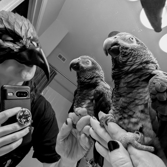 Meet your Posher, Tahlia - Picture 4 of 4